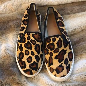 Leopard slip on shoes
